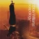 Escapology