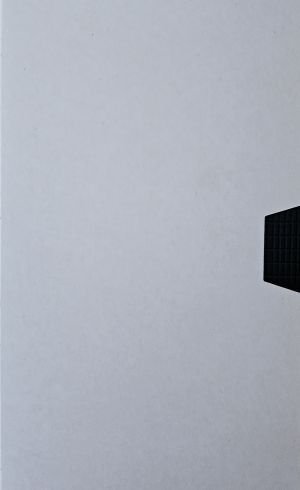 Something Beautiful (Clean Cliffhanger Version) [Australie] [Promo] [VHS]