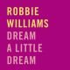 Dream A Little Dream